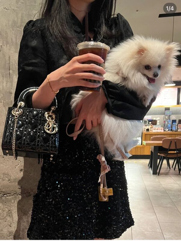 CD Lady 17 Black Gold