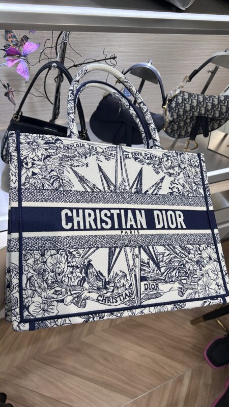 Dior Small Tote Live Photo