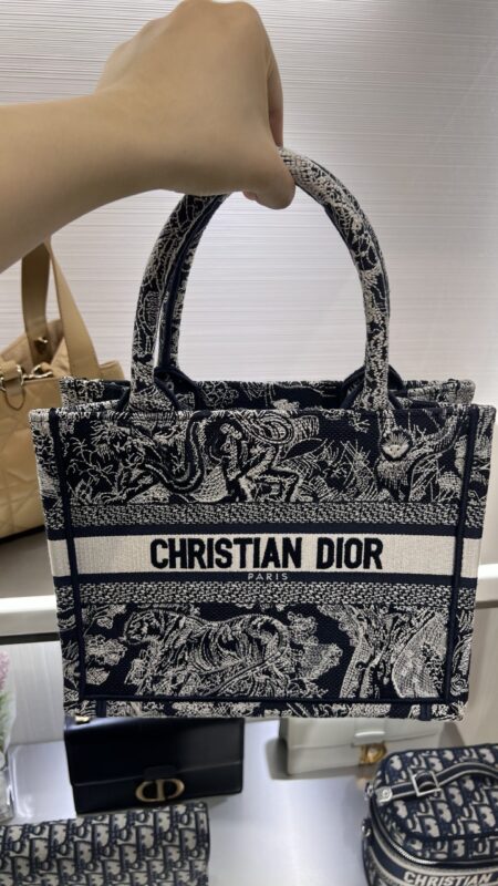Dior Small Tote Live Photo