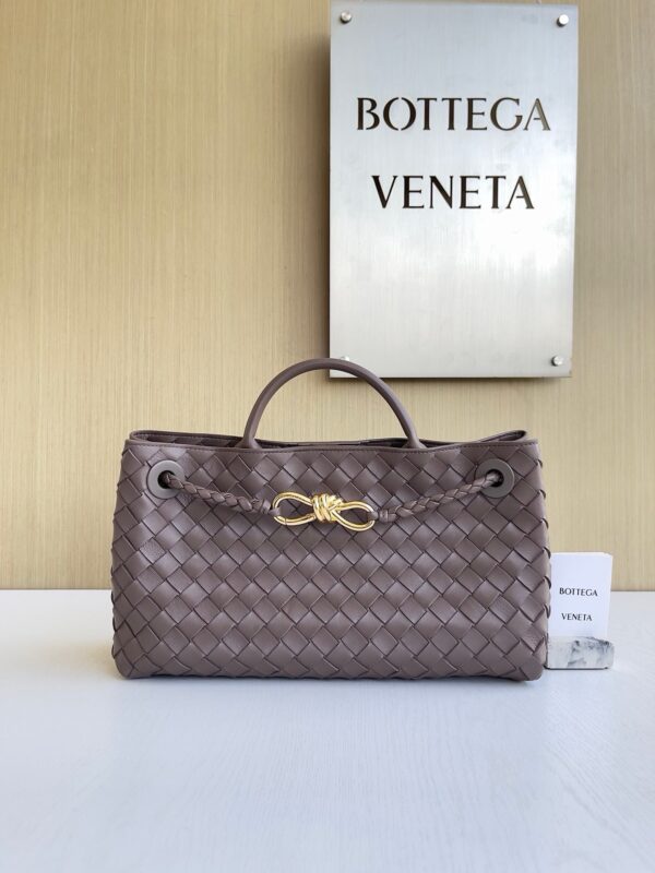 Bottega Veneta Andiamo Bag