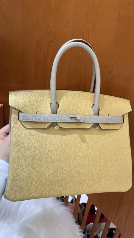 Birkin 30 Togo