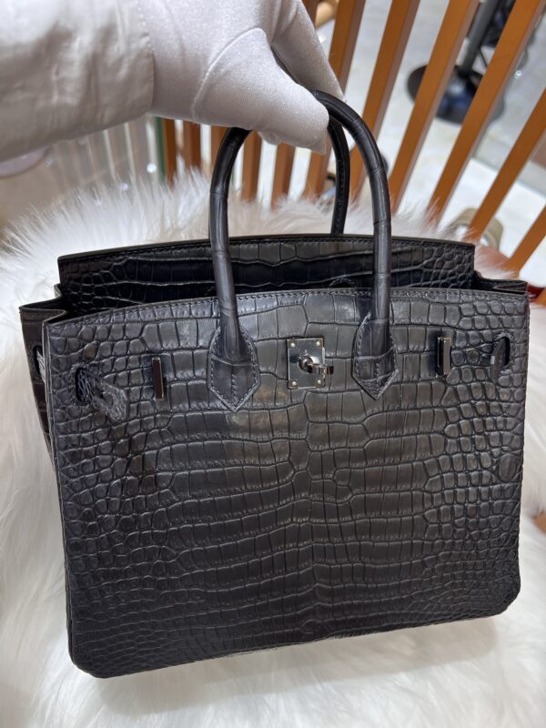 Birkin Croco 25