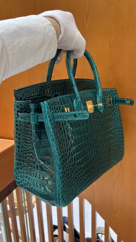 Birkin 25 Croco