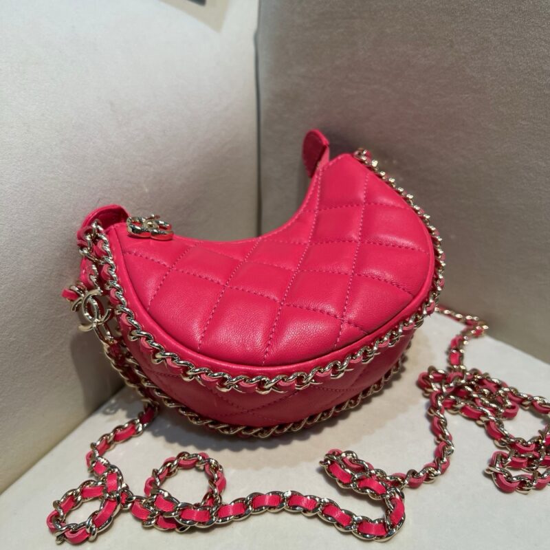 Chanel Hobo Moon Bag