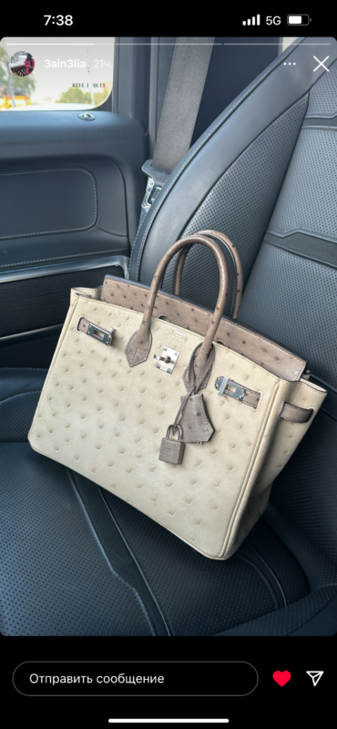 Birkin ostrich 25