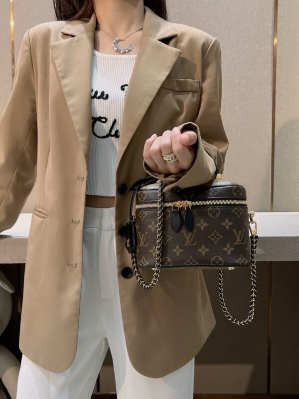 Louis Vuitton Vanity Chain Pouch