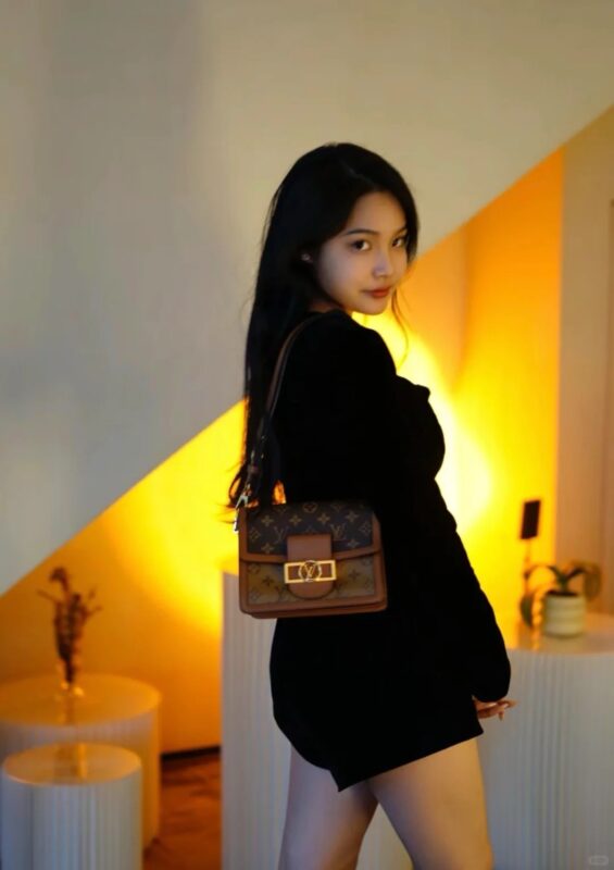 LV Mini Dauphine Monogram Bag