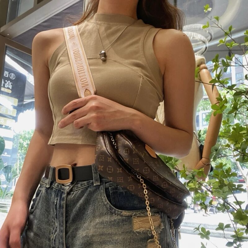 LV Pochette Accessoires Bag