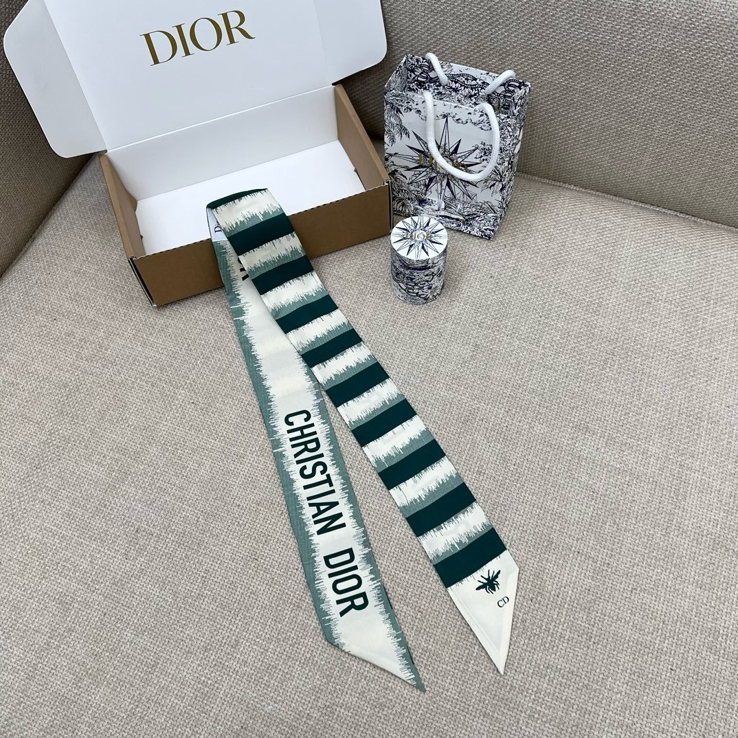 img_9222 Dior Headband - Image 1