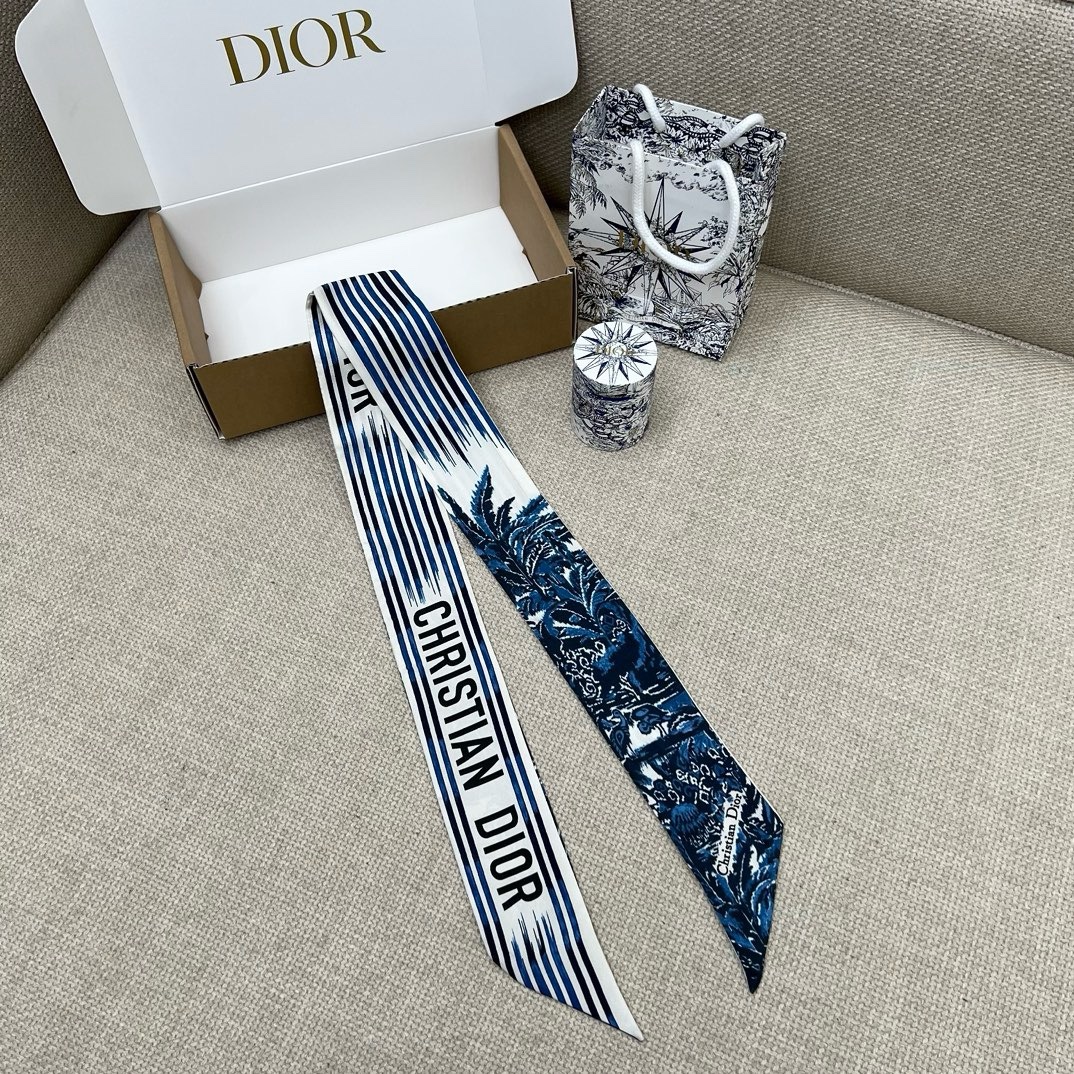 img_9227 Dior Headband - Image 1