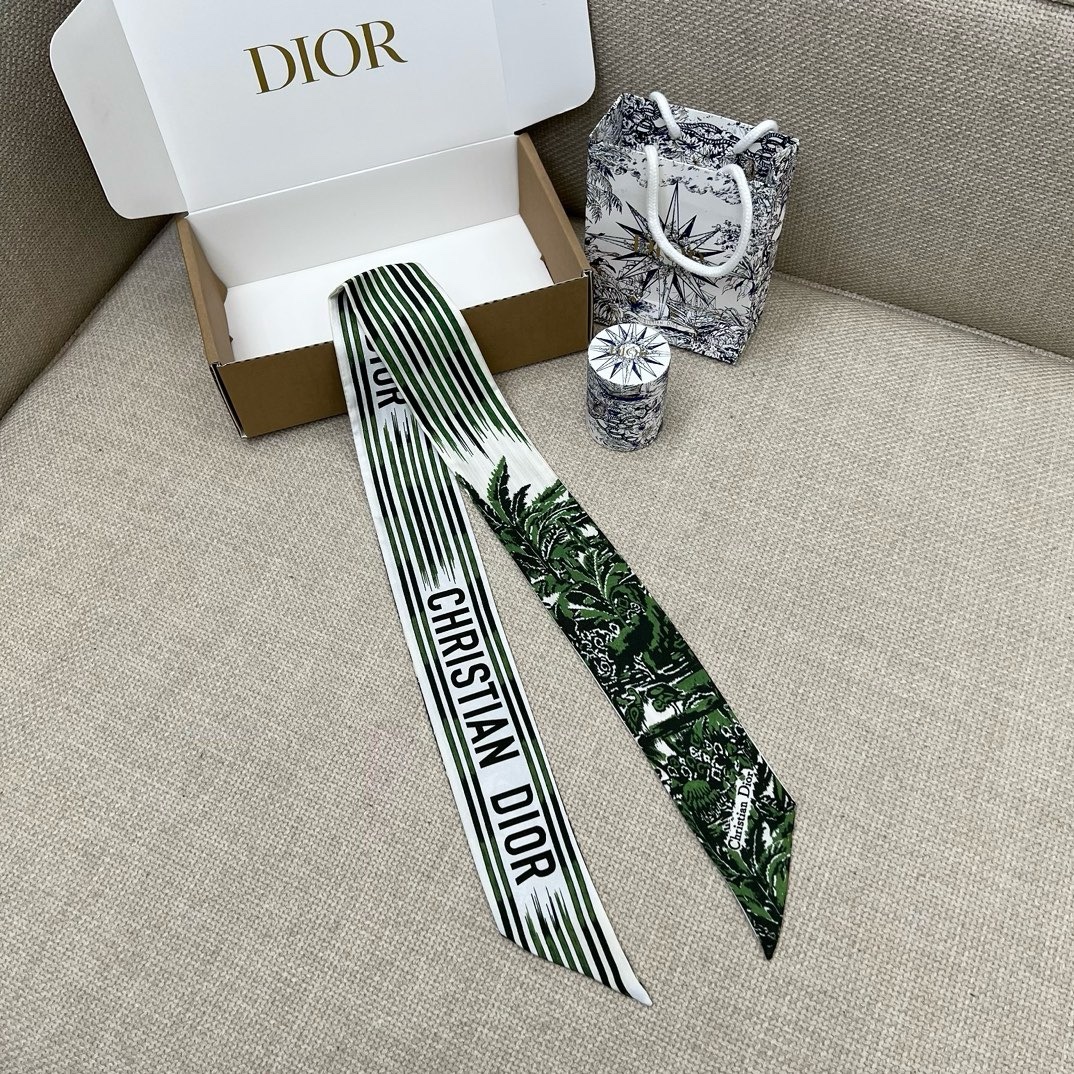 img_9232 Dior Headband - Image 1