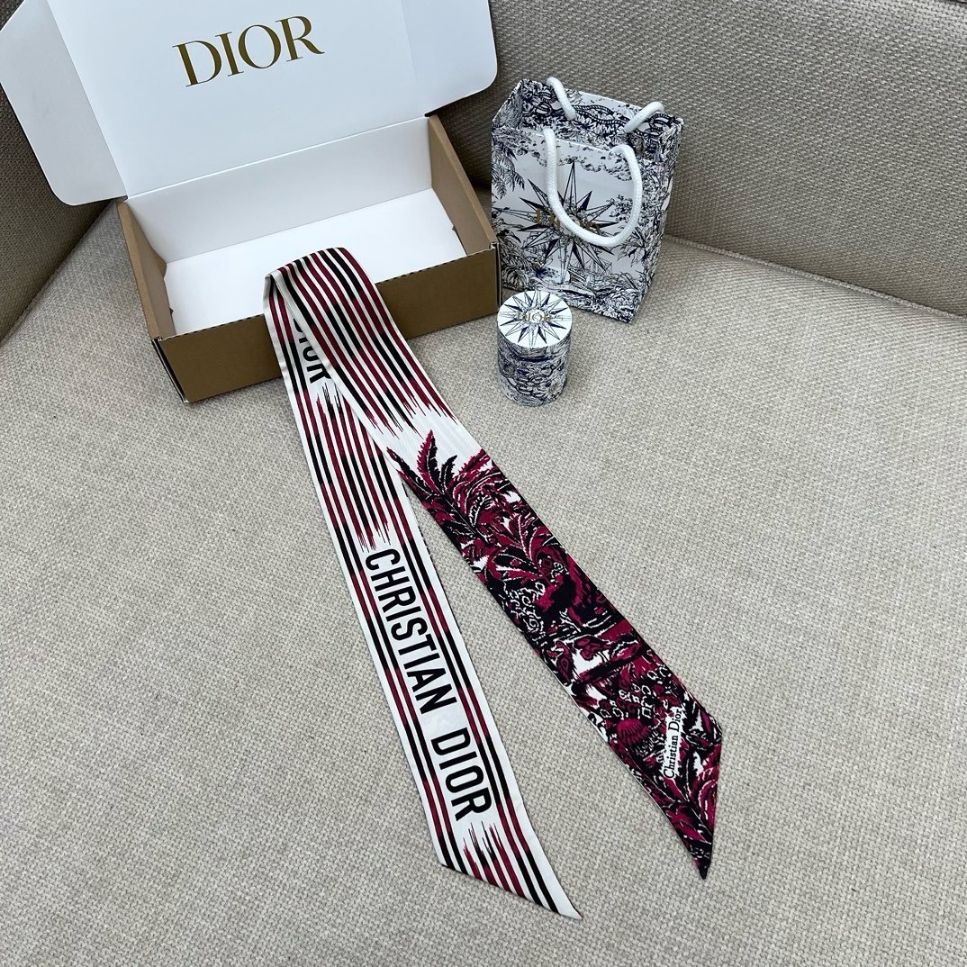 img_9252 Dior Headband - Image 1