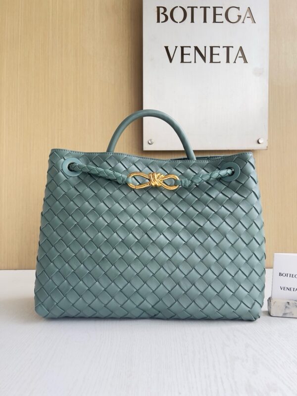Bottega Veneta Andiamo Bag