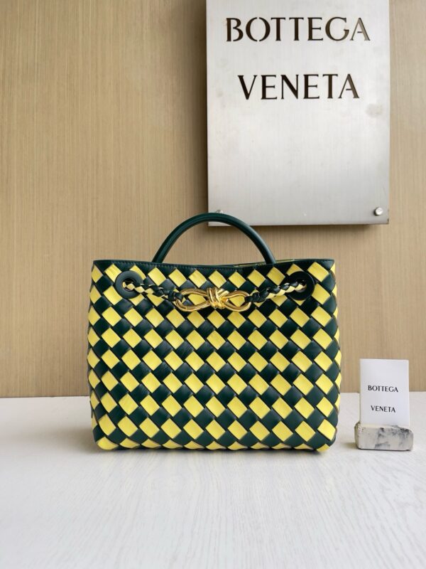 Bottega Veneta Andiamo Bag