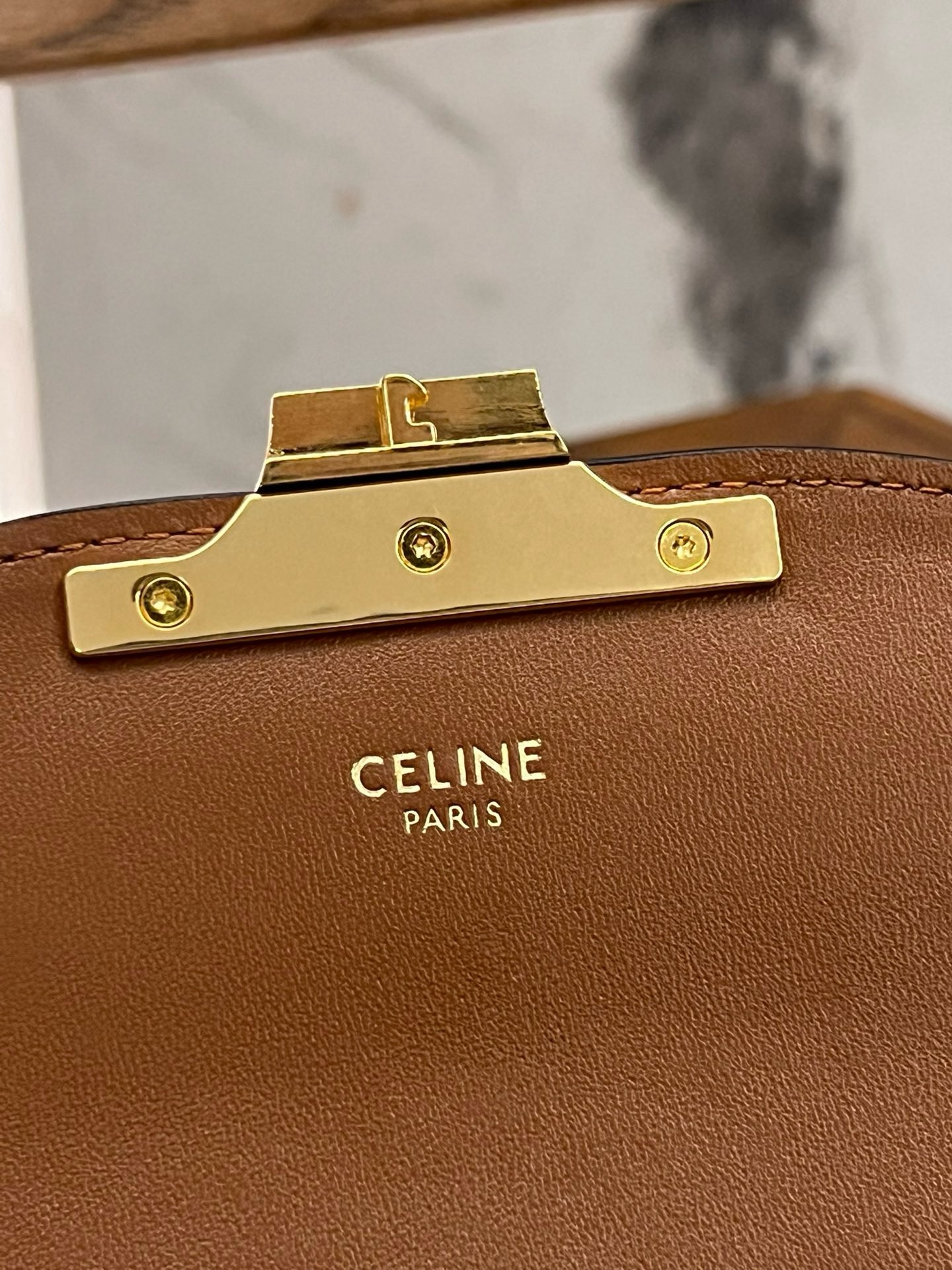 Celine Triomphe - Image 8