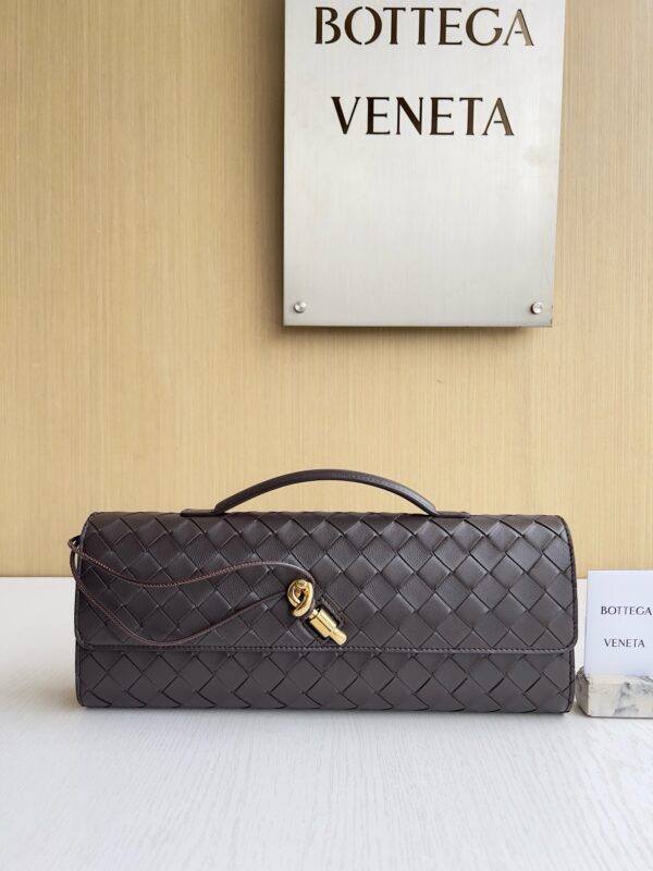 Bottega Veneta Andiamo clutch