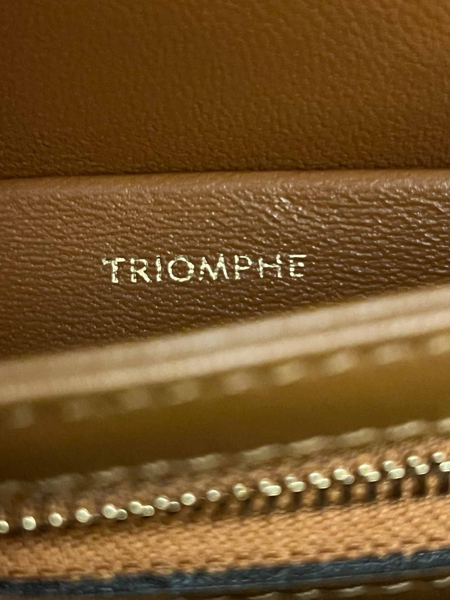 Celine Triomphe - Image 9