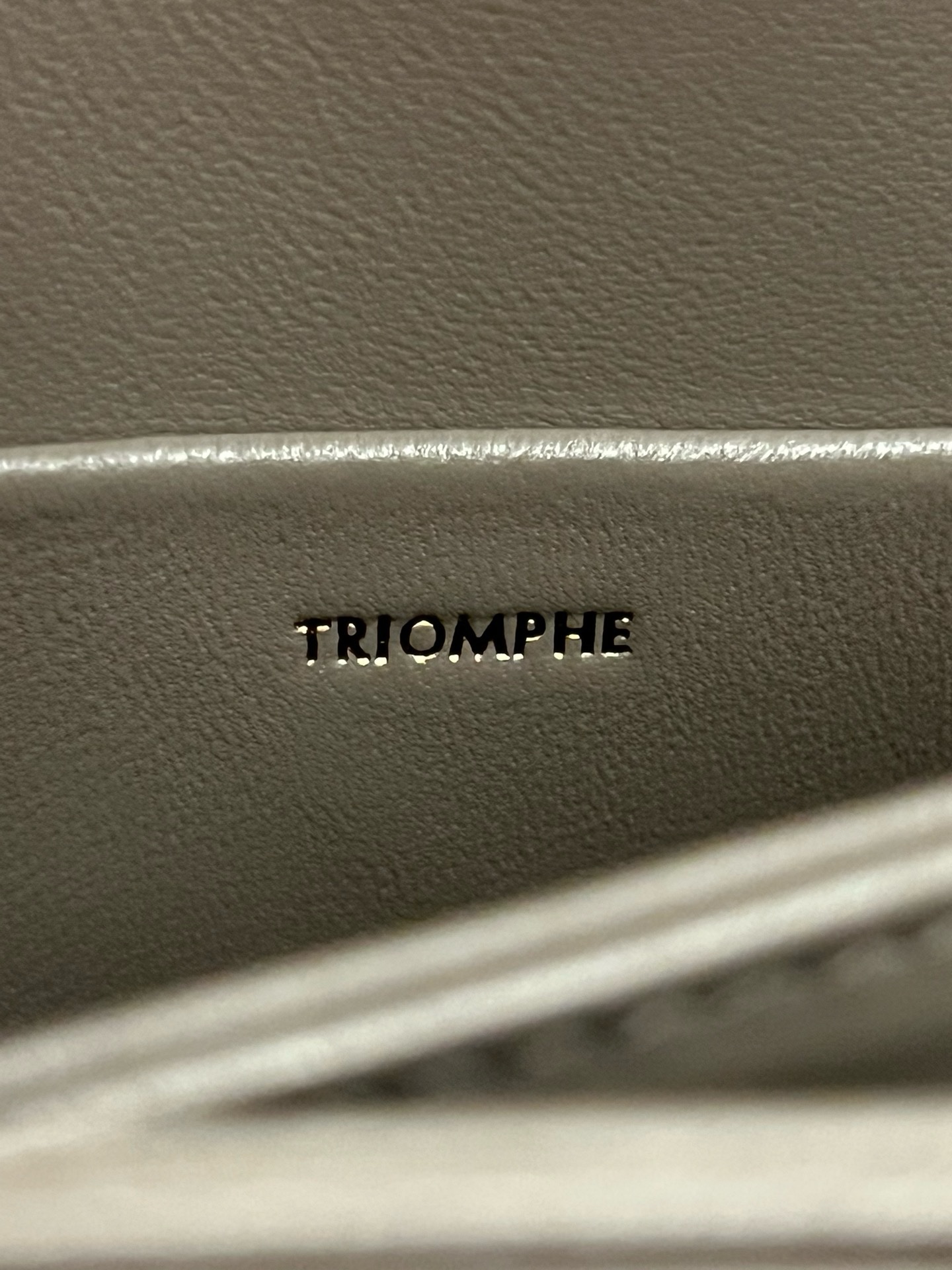 Celine Triomphe - Image 9