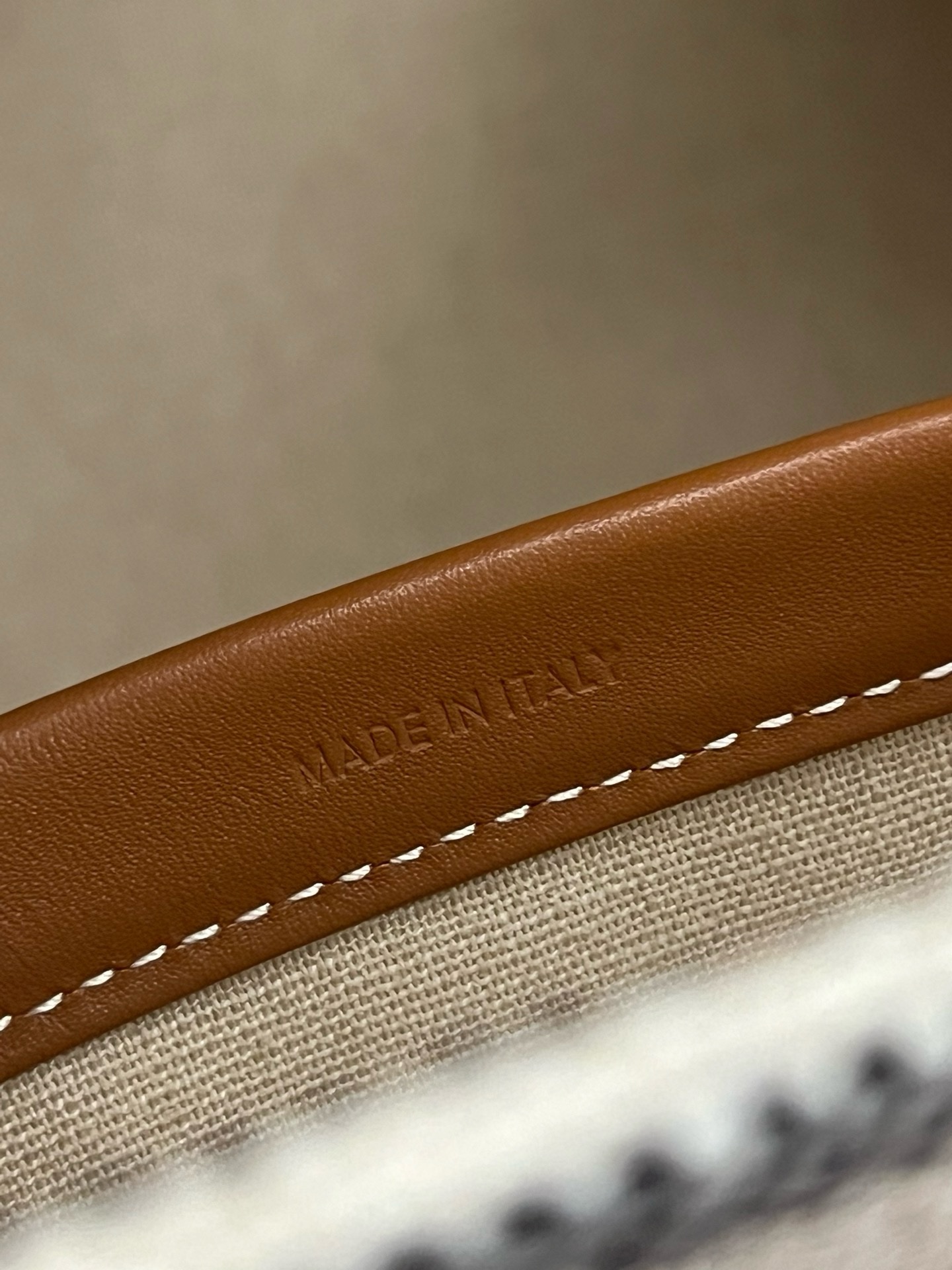 Celine Triomphe - Image 9