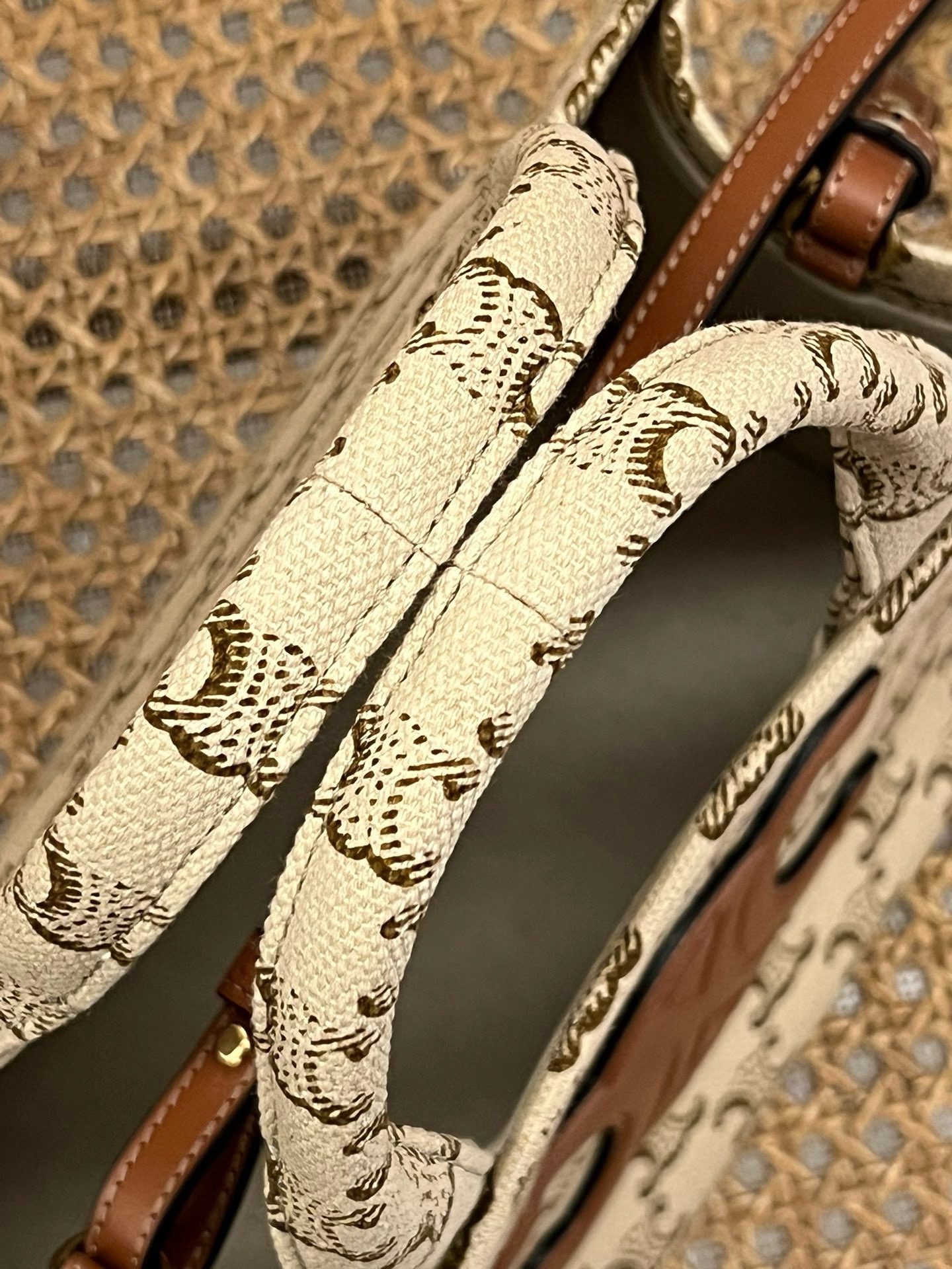 Celine Triomphe - Image 6