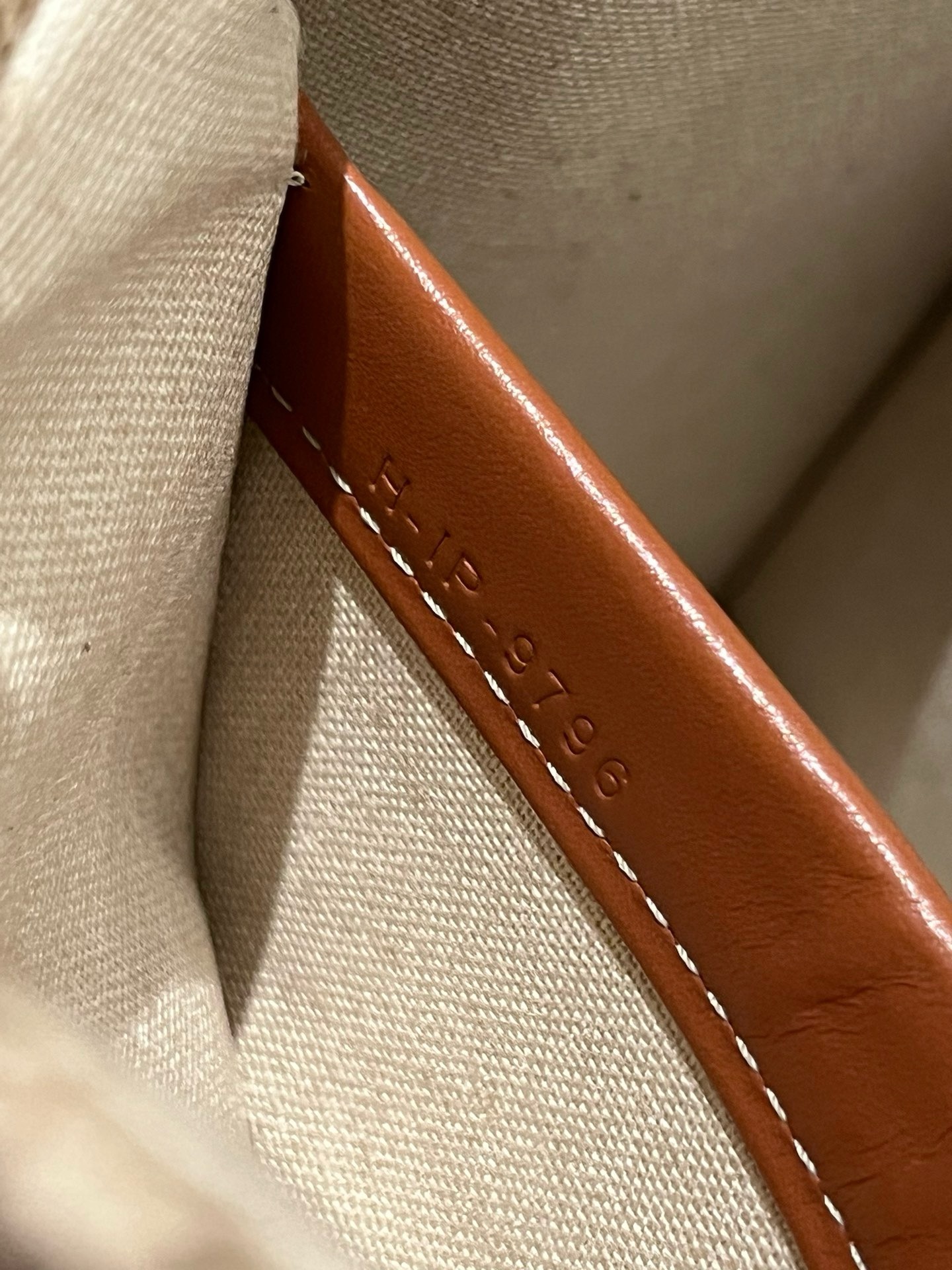 Celine Triomphe - Image 9