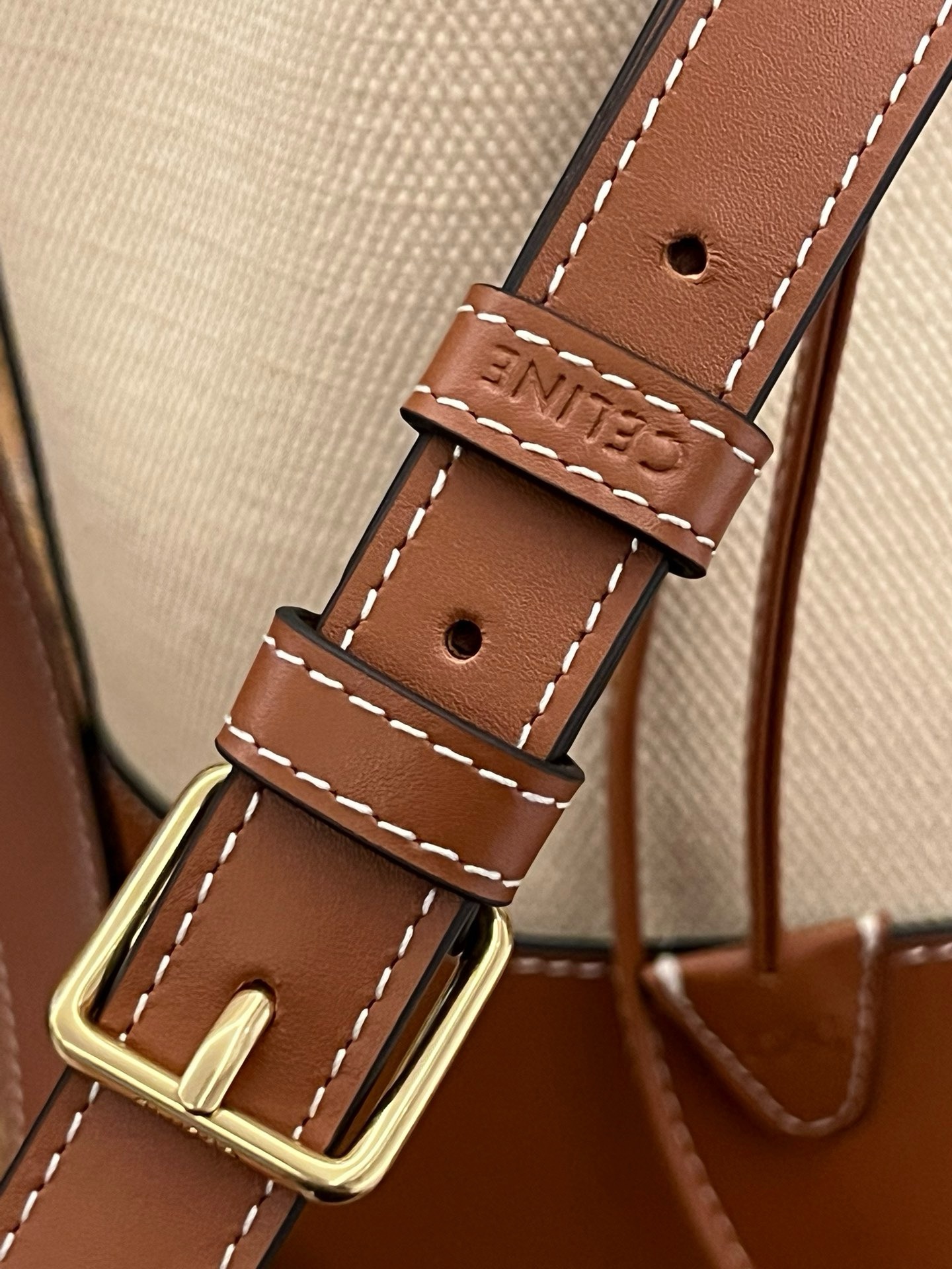 Celine Ranney - Image 3