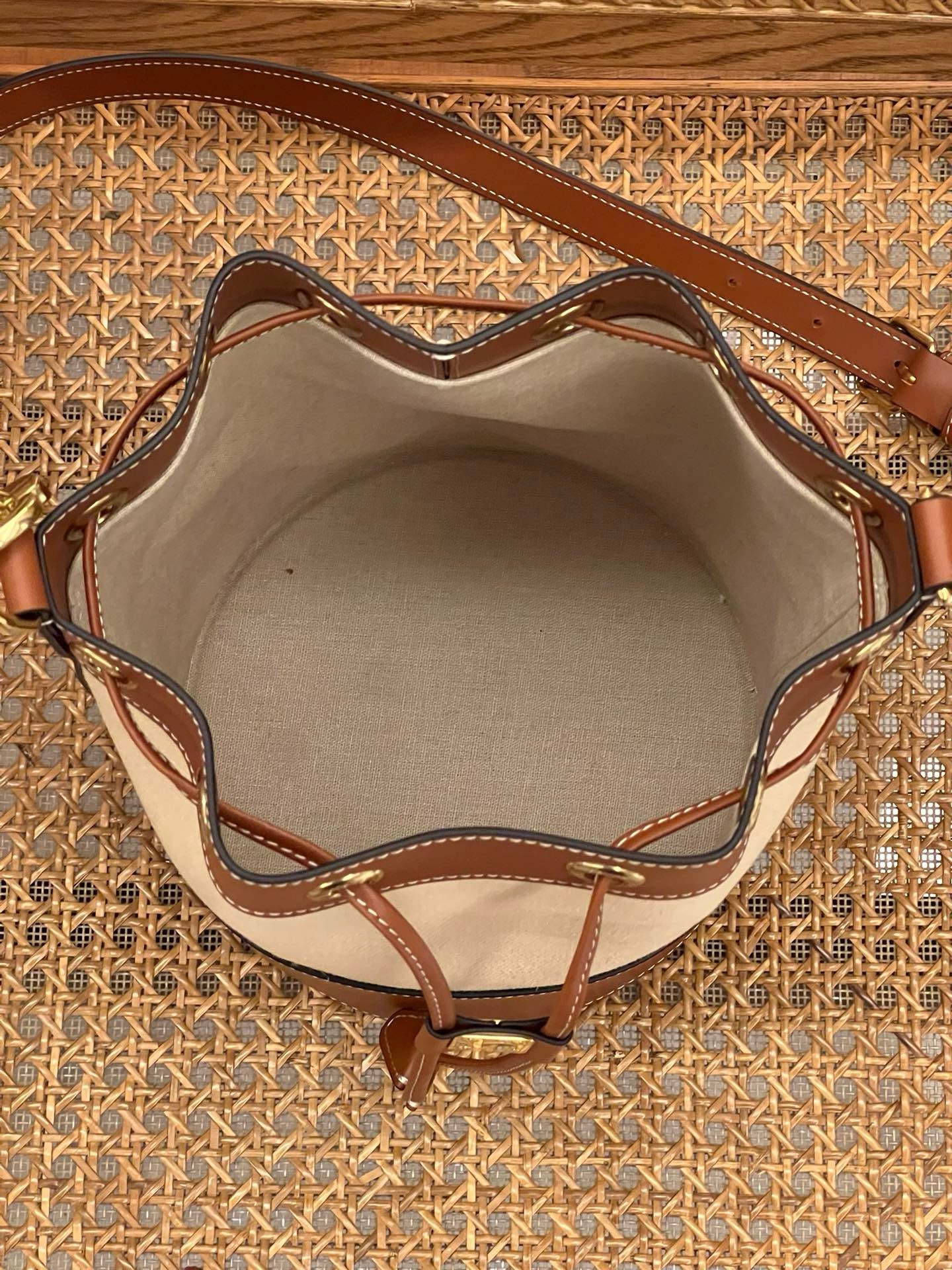 Celine Ranney - Image 7