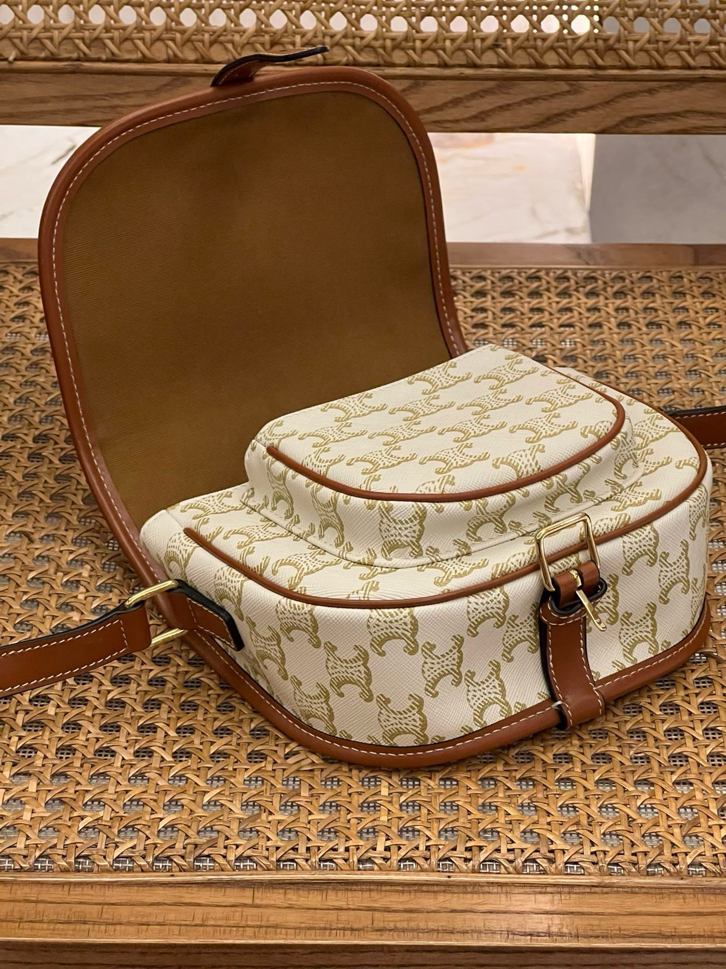 Celine Folco Bag in Triomphe - Image 7