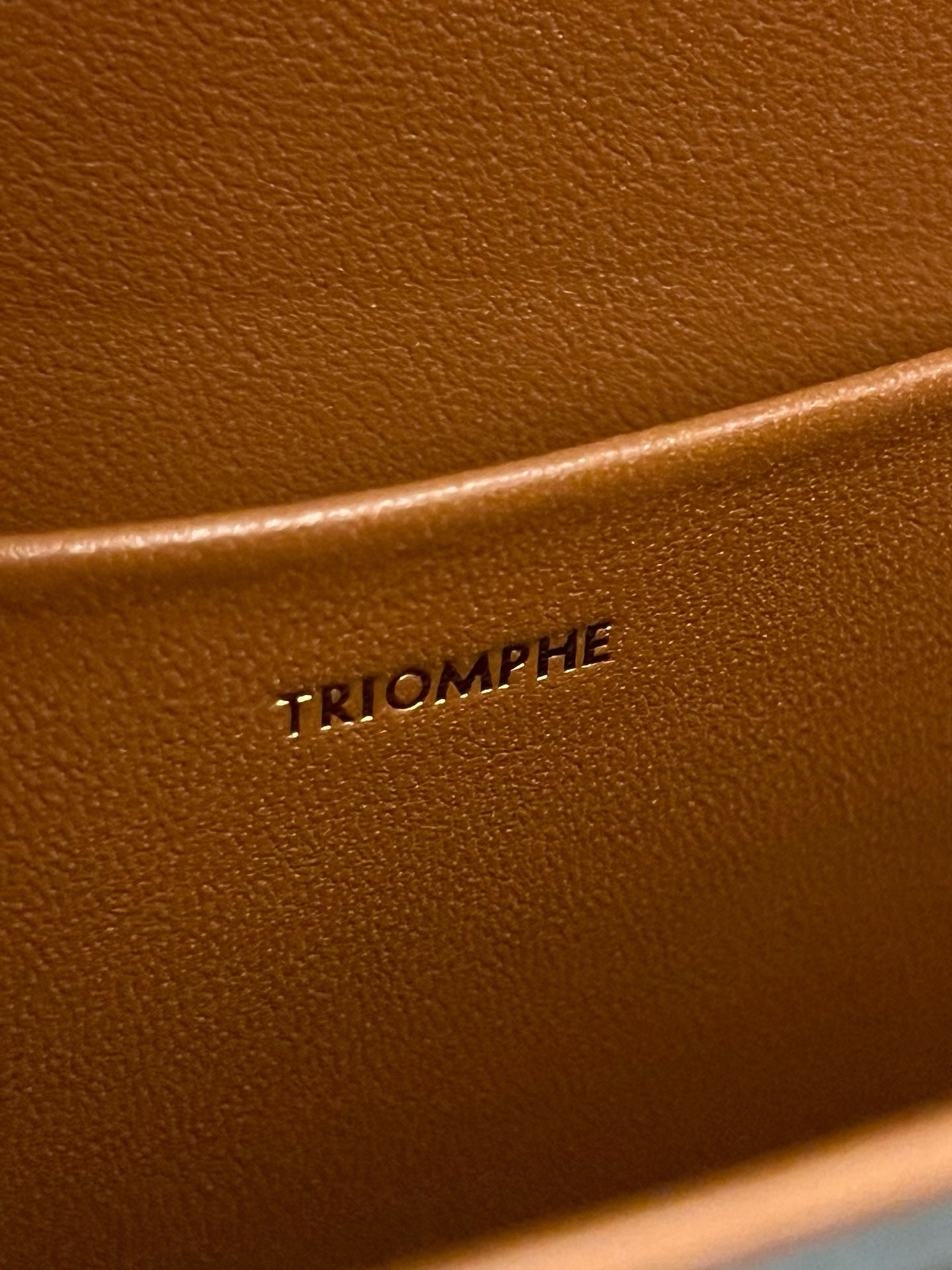 Celine Triomphe Shoulder Bag - Image 9