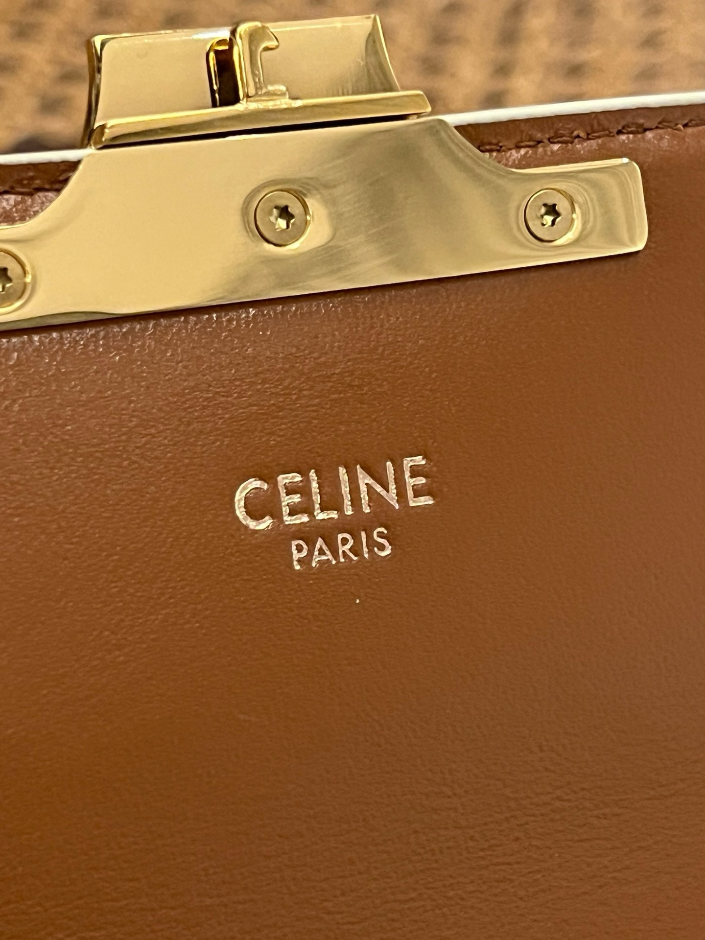 Celine Triomphe Shoulder Bag - Image 8