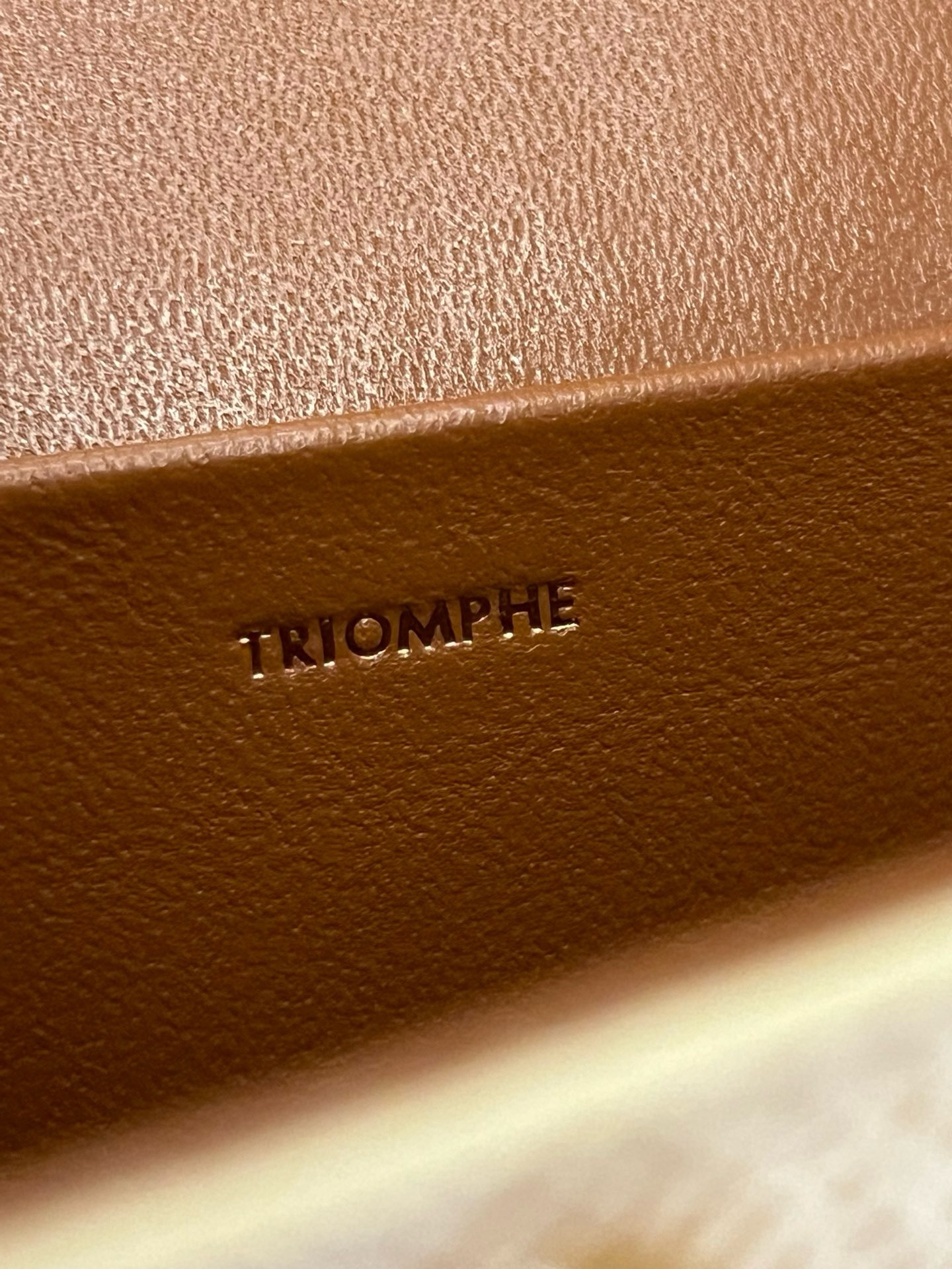 Celine Triomphe Shoulder Bag - Image 9