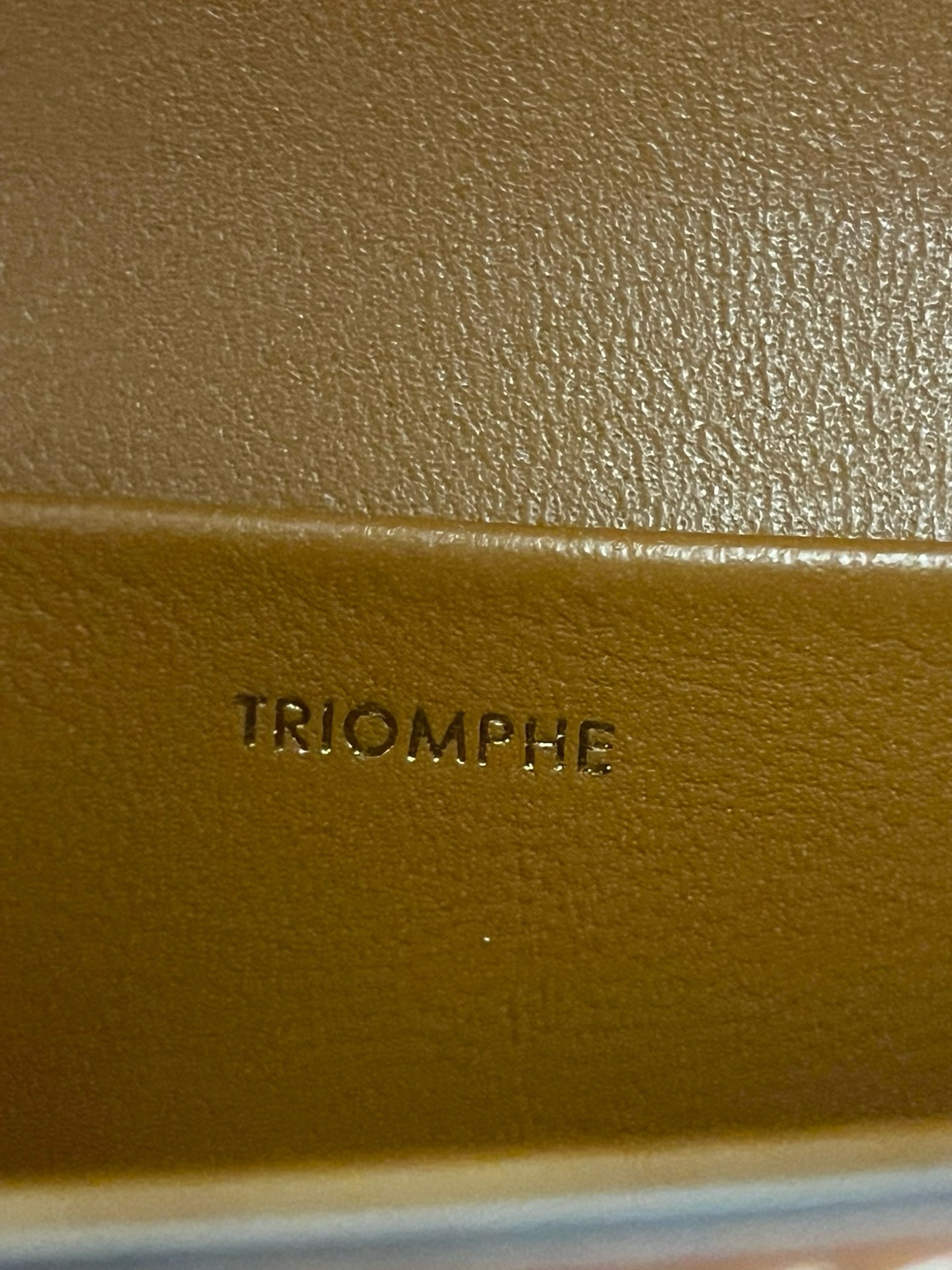 Celine Triomphe Shoulder Bag - Image 9