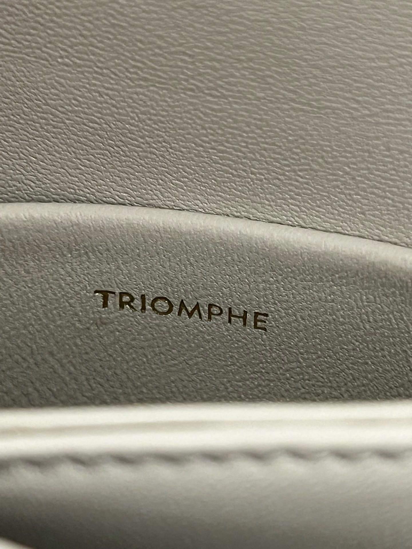 Celine Triomphe - Image 8