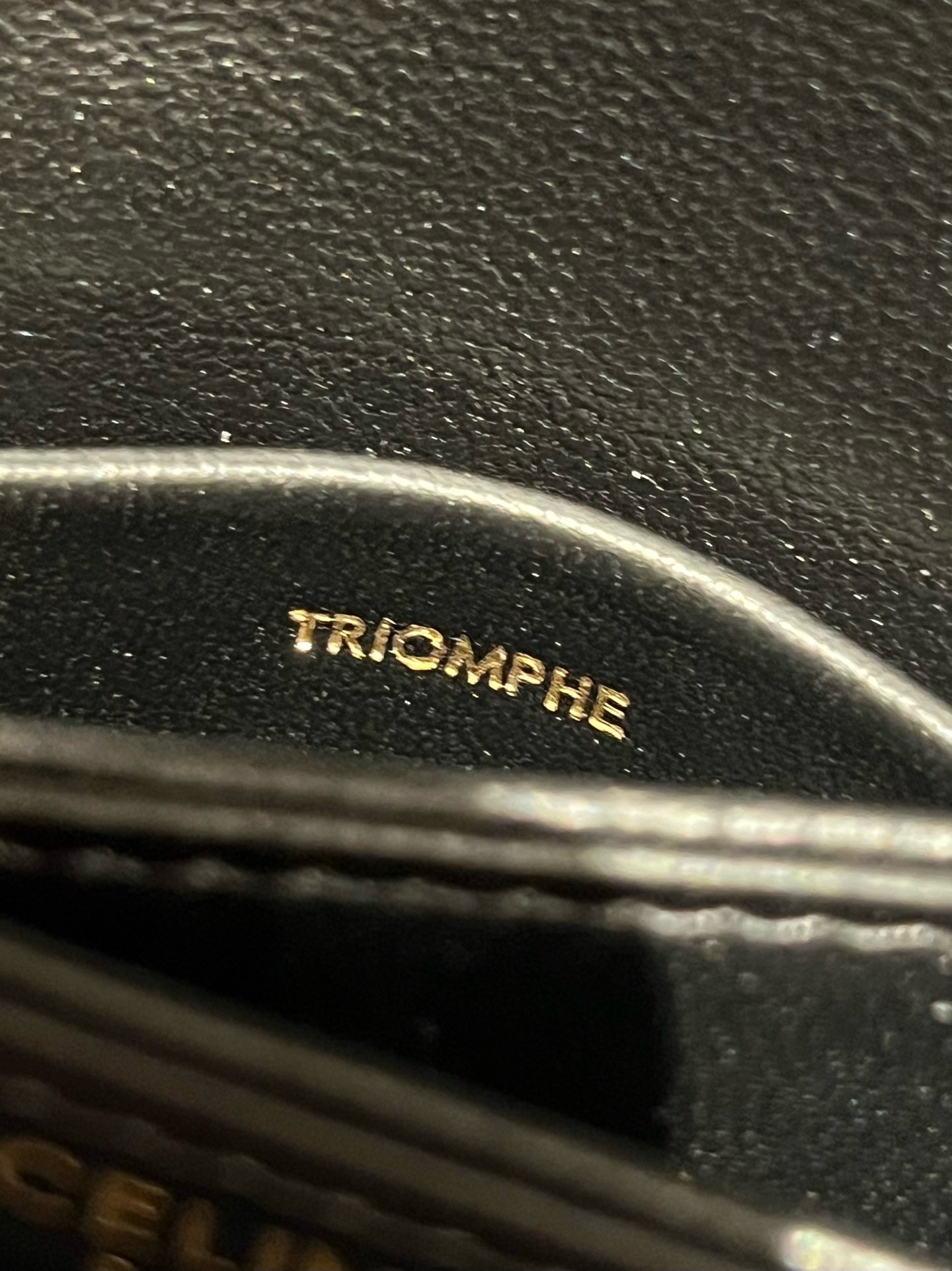 Celine Triomphe - Image 8