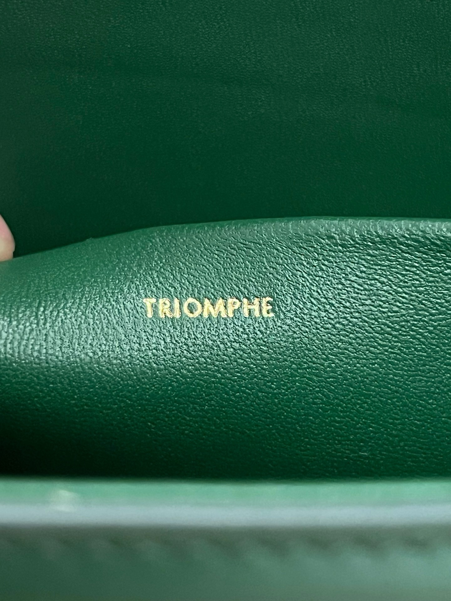 Celine Triomphe - Image 9