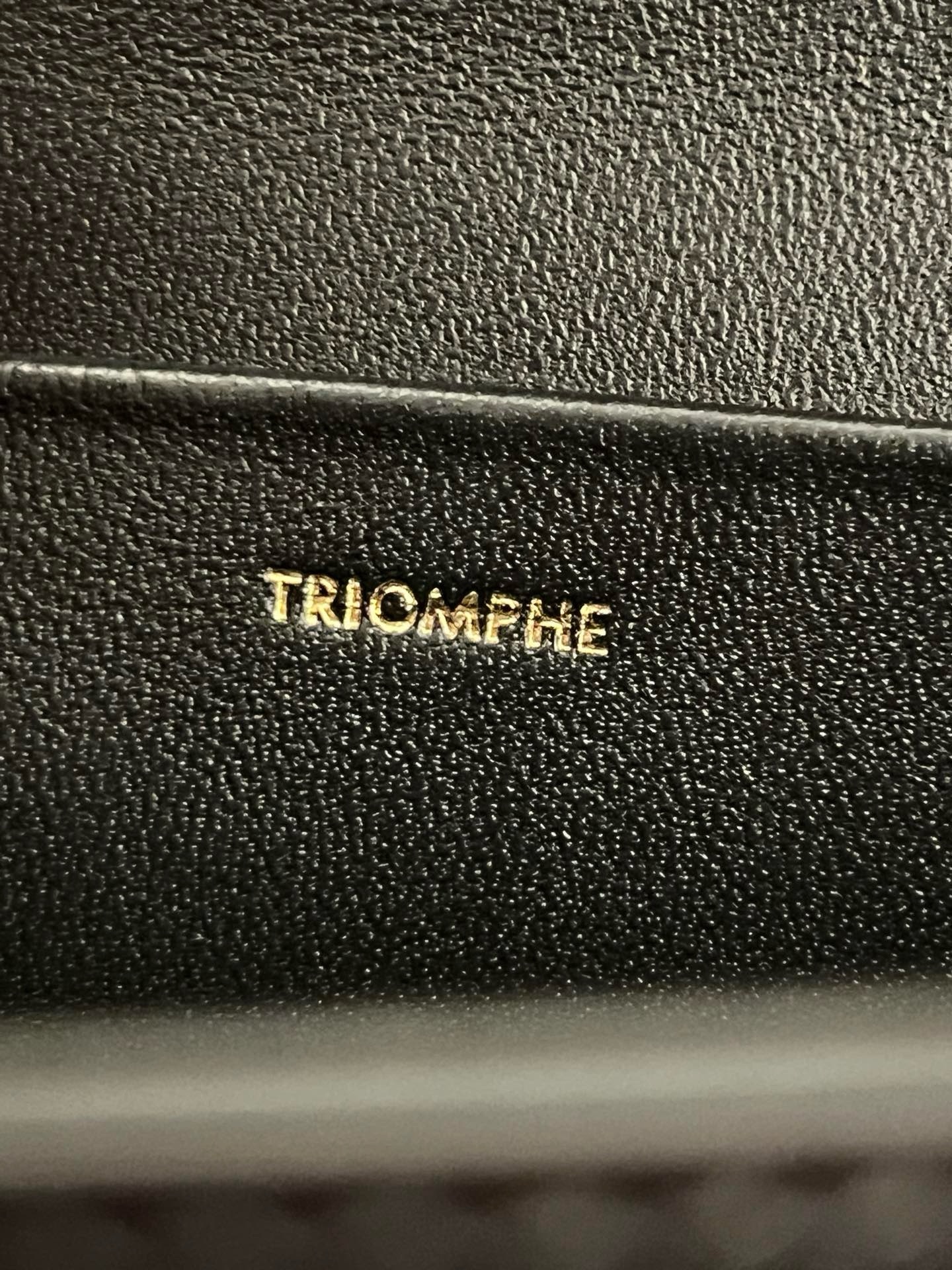 Celine Cuir Triomphe Bag - Image 8