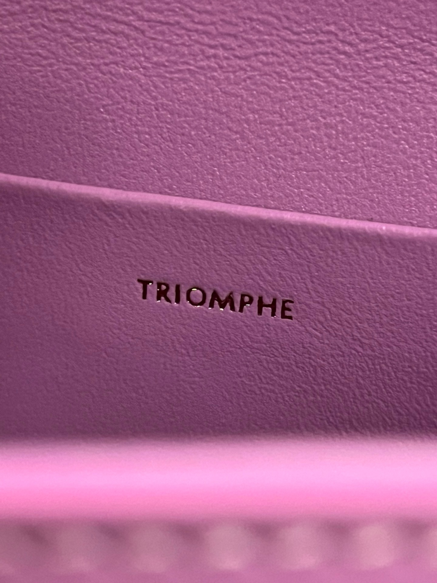 Celine Cuir Triomphe Bag - Image 9