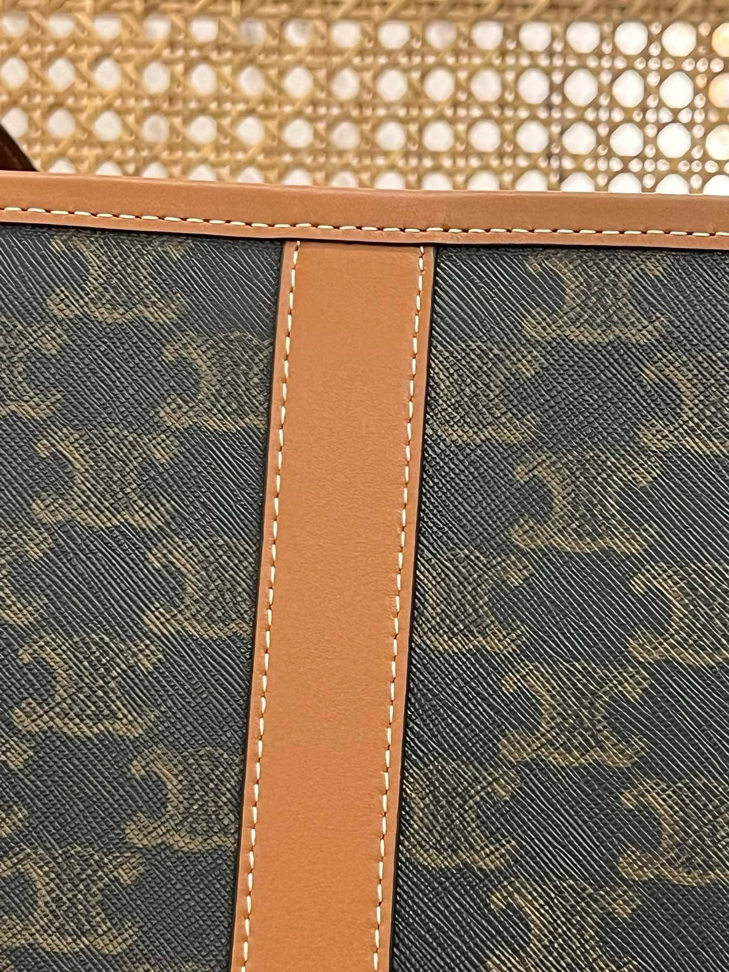 Celine Triomphe - Image 4