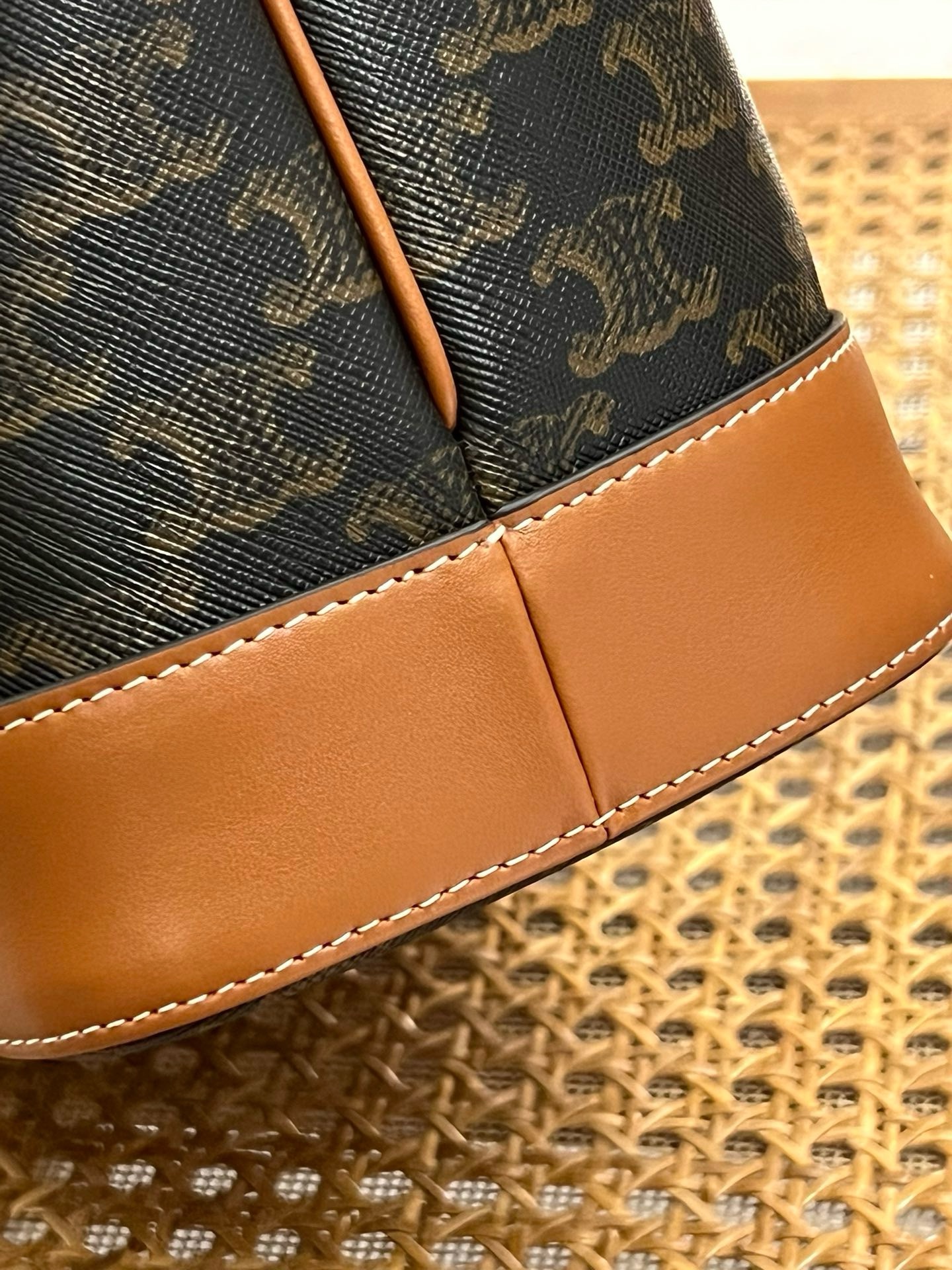 Celine Triomphe - Image 6