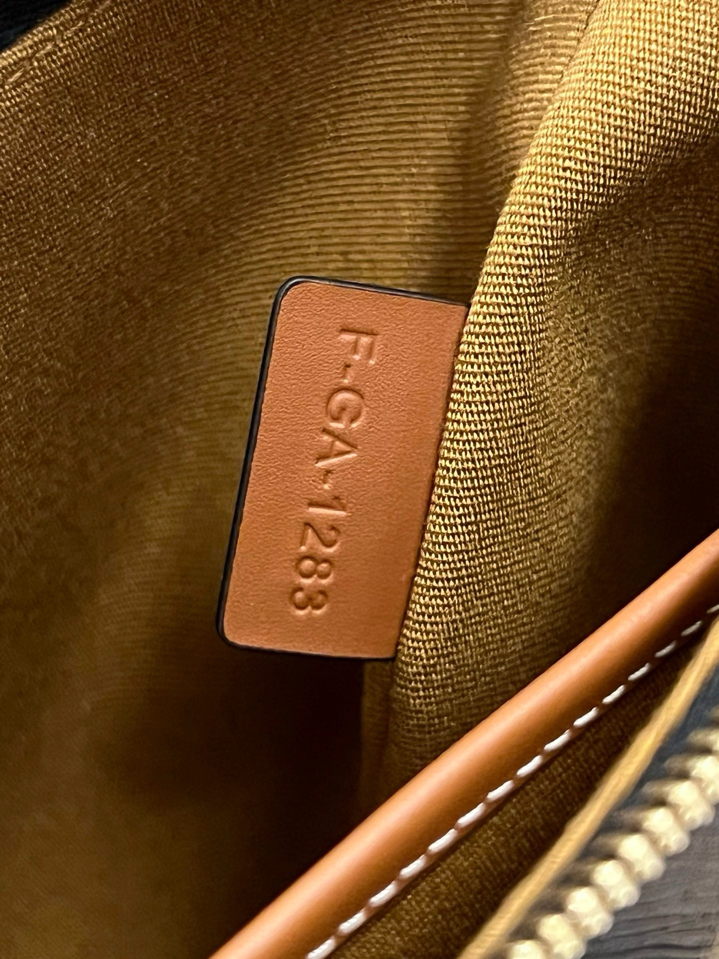 Celine Ava - Image 8