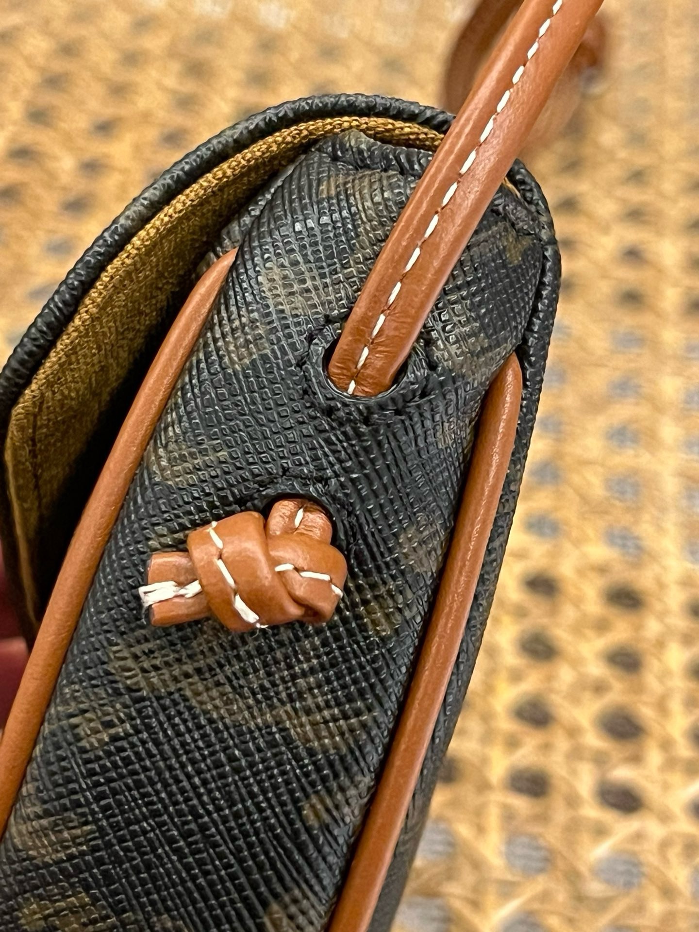 Celine Triomphe - Image 6