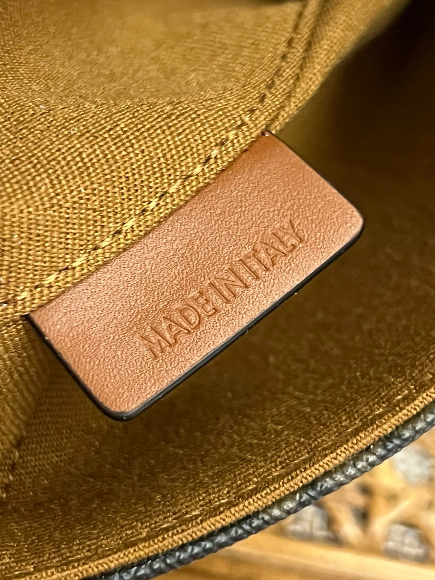 Celine Triomphe - Image 9