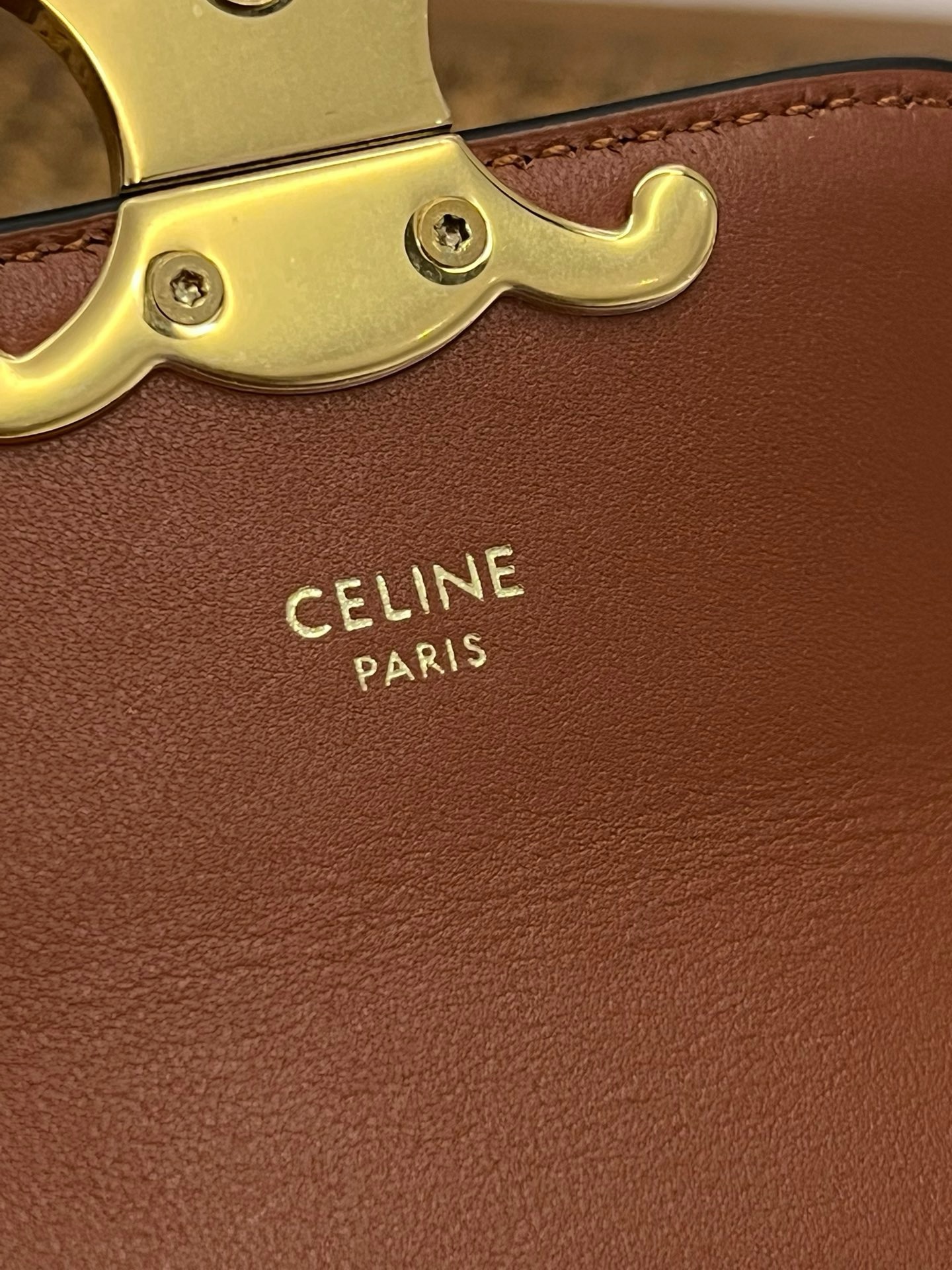 Celine Triomphe - Image 9