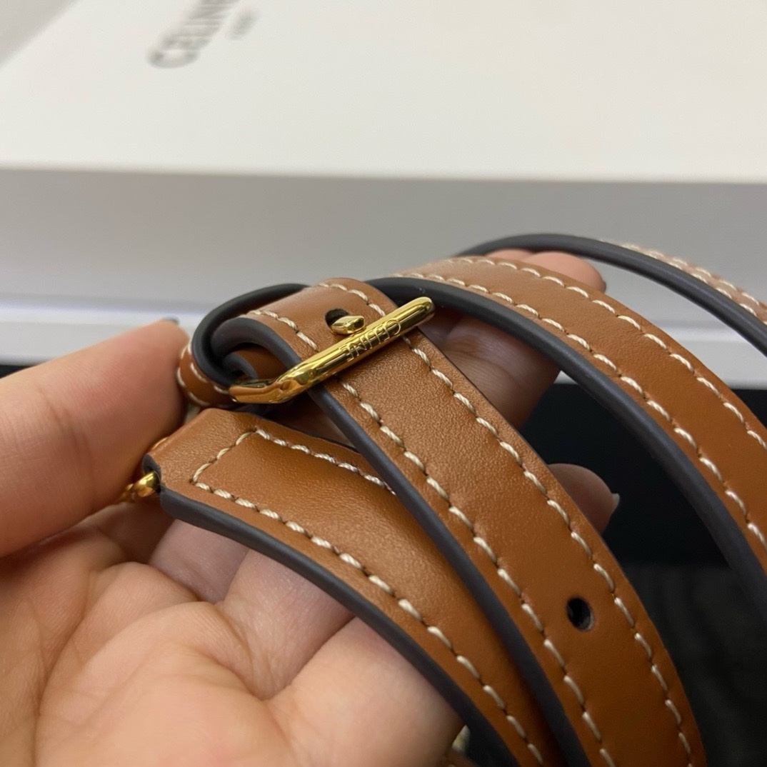 Celine Triomphe - Image 7