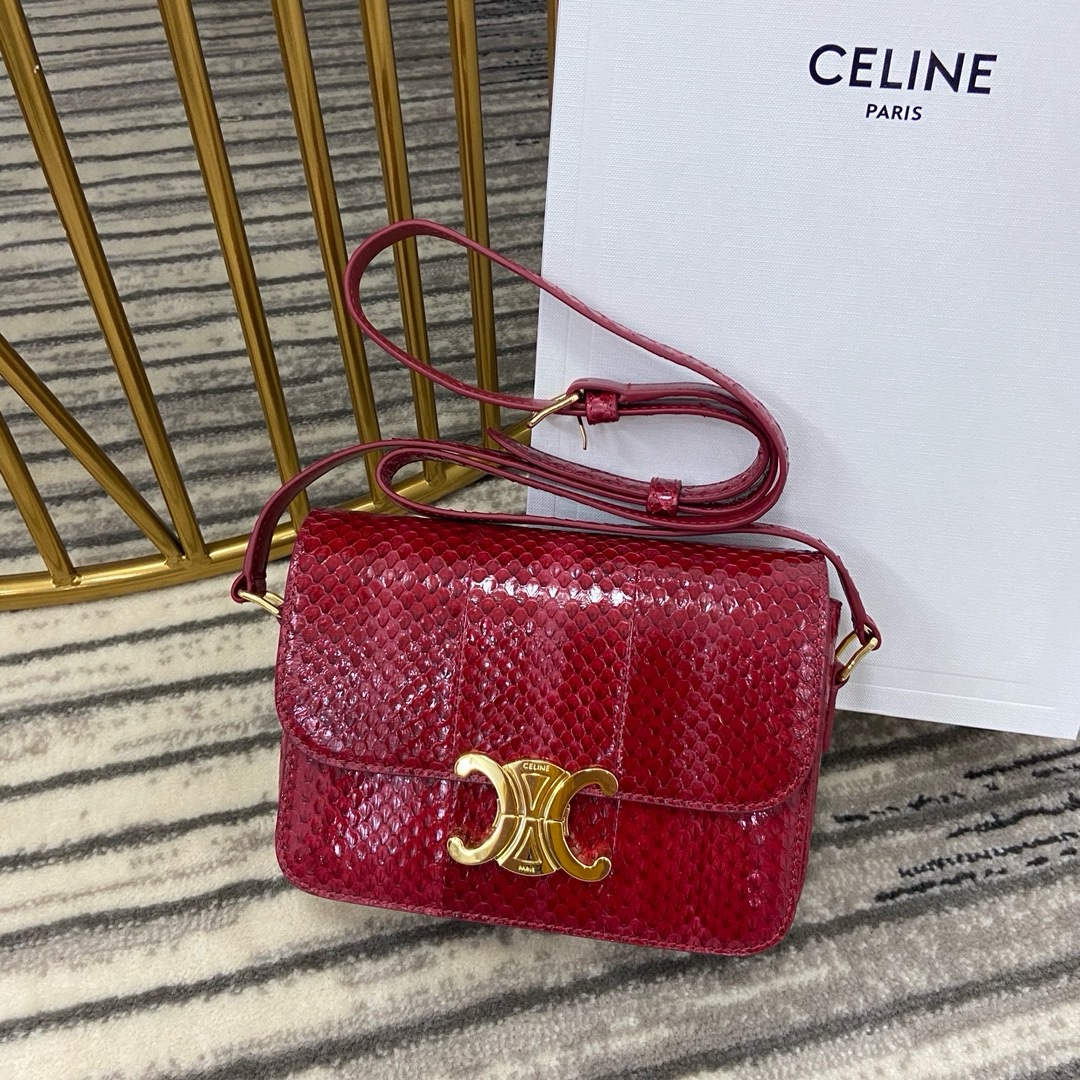 Celine Nano