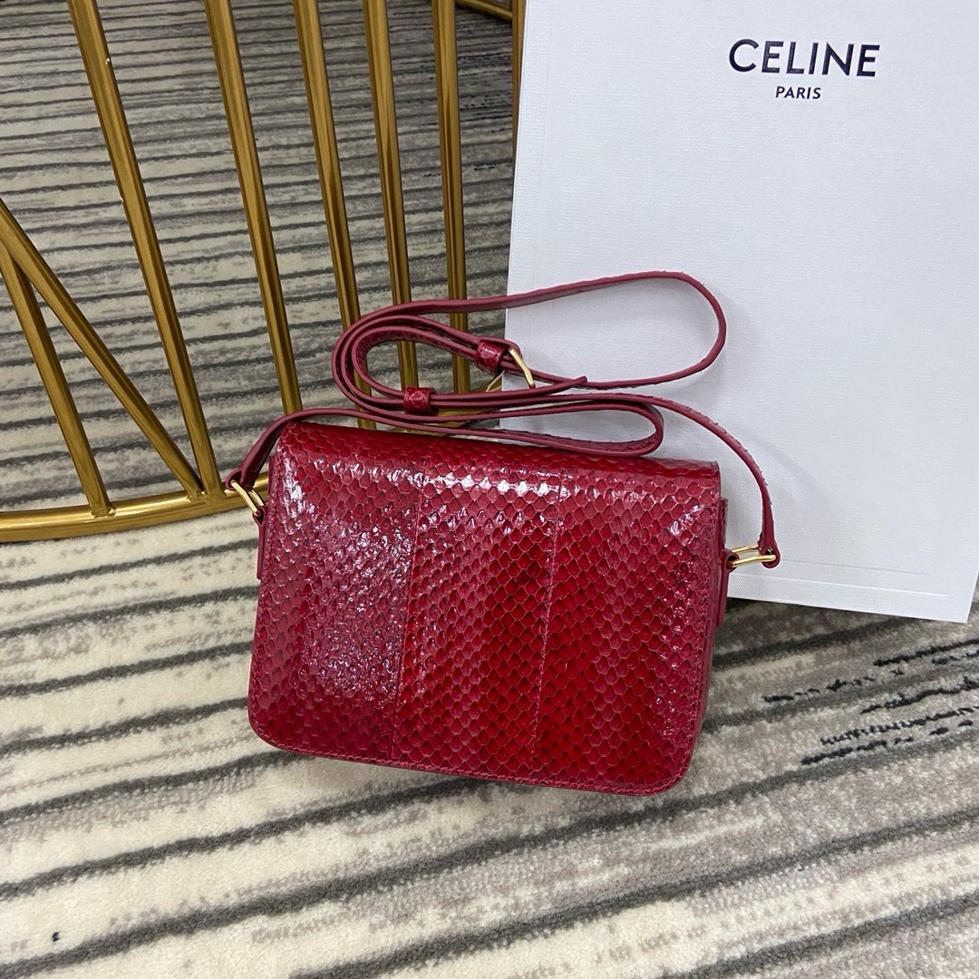 Celine Nano - Image 2