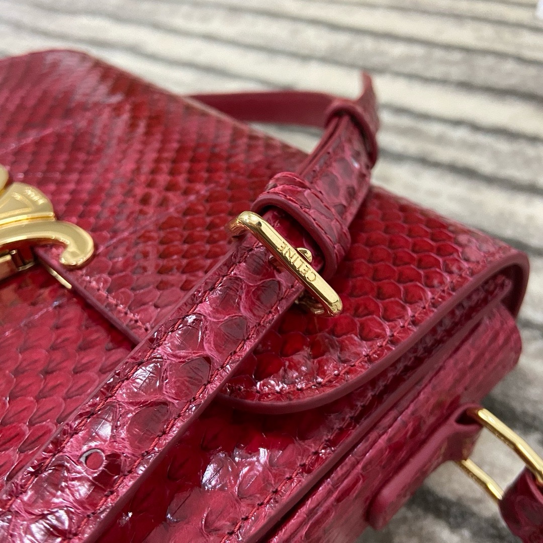 Celine Nano - Image 5