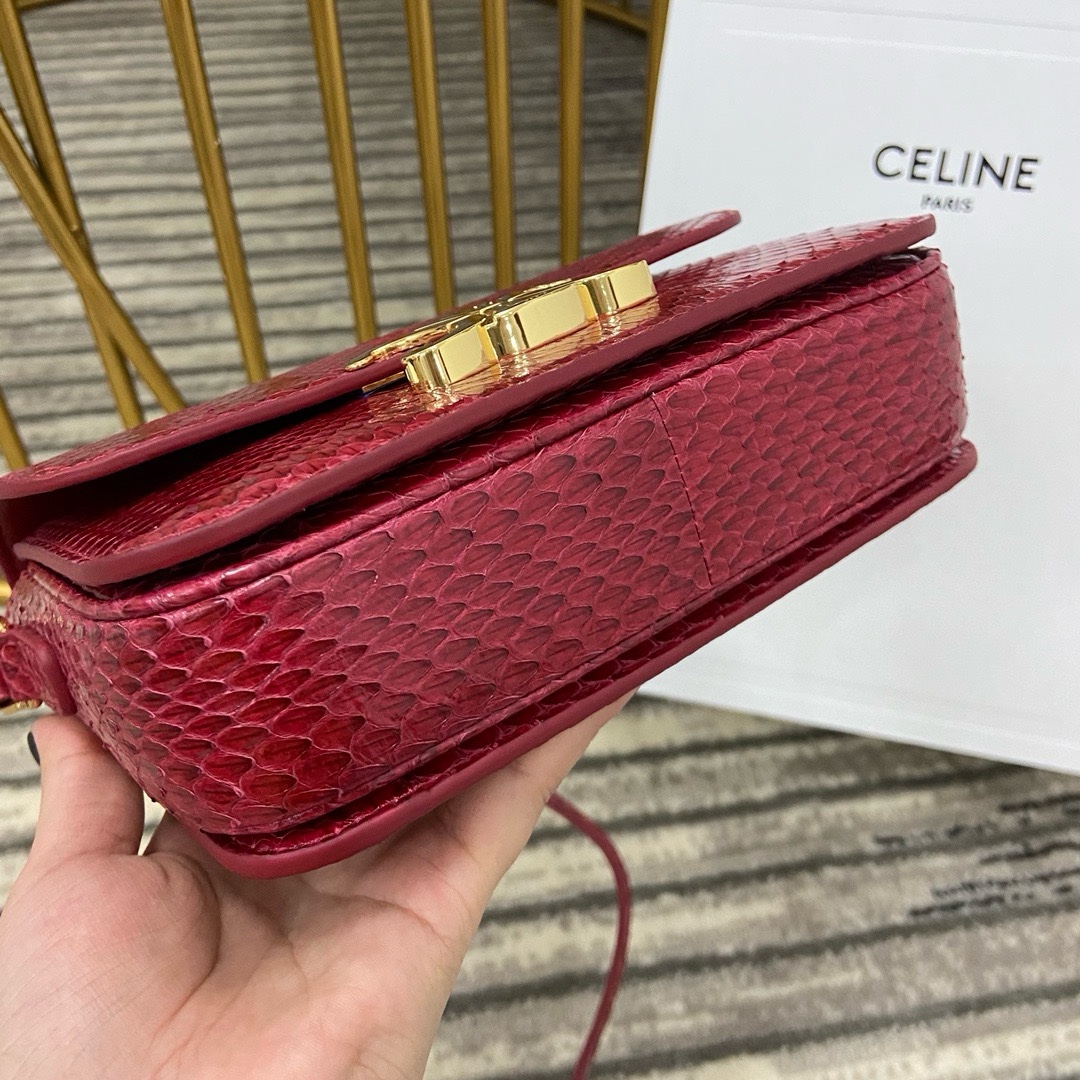 Celine Nano - Image 6