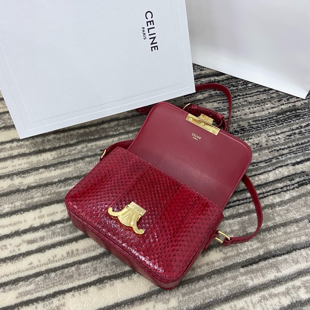 Celine Nano - Image 7