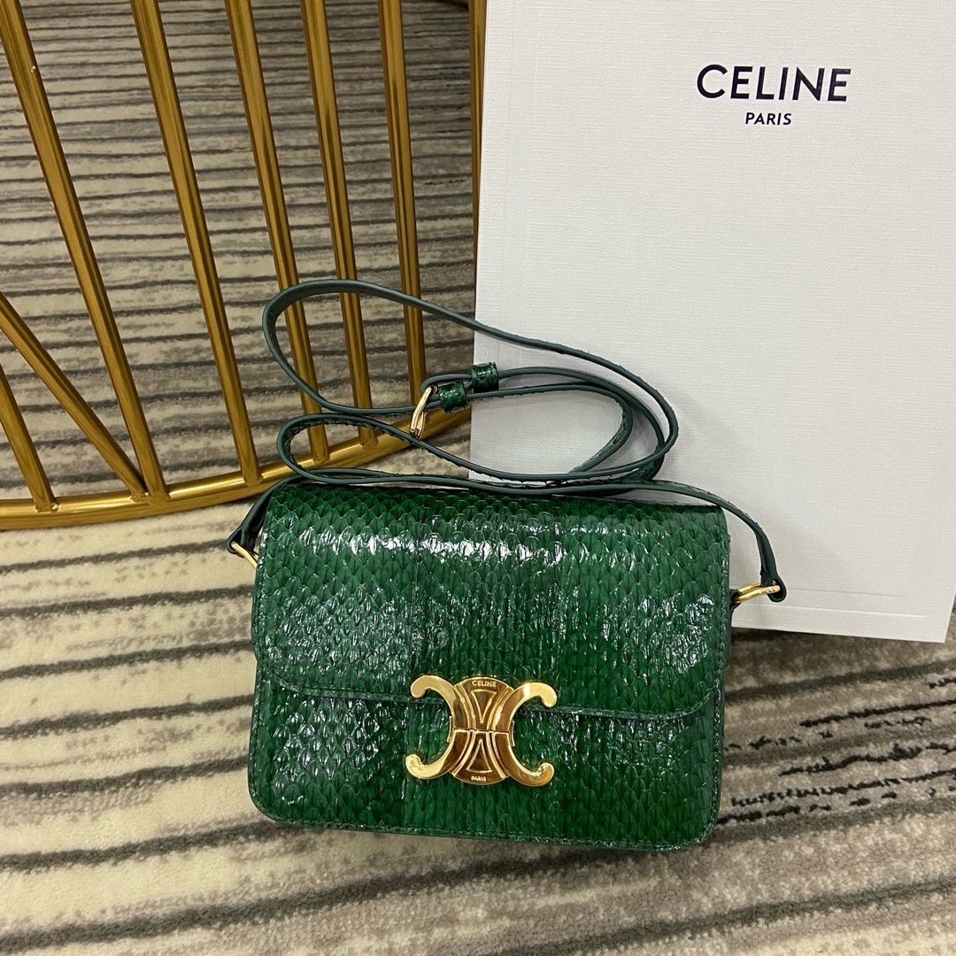 Celine Nano